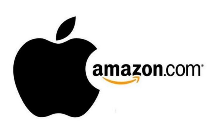 亞馬遜、蘋果等巨頭能改變醫(yī)療行業(yè)的游戲規(guī)則嗎？