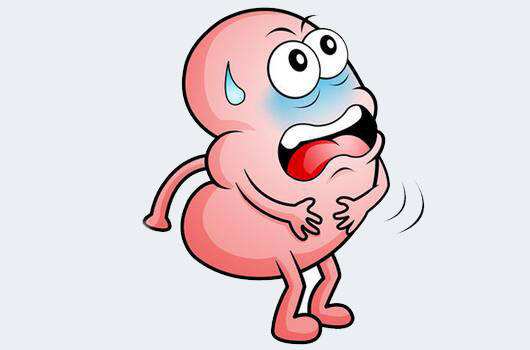 腎臟B超與腎臟彩超區別？